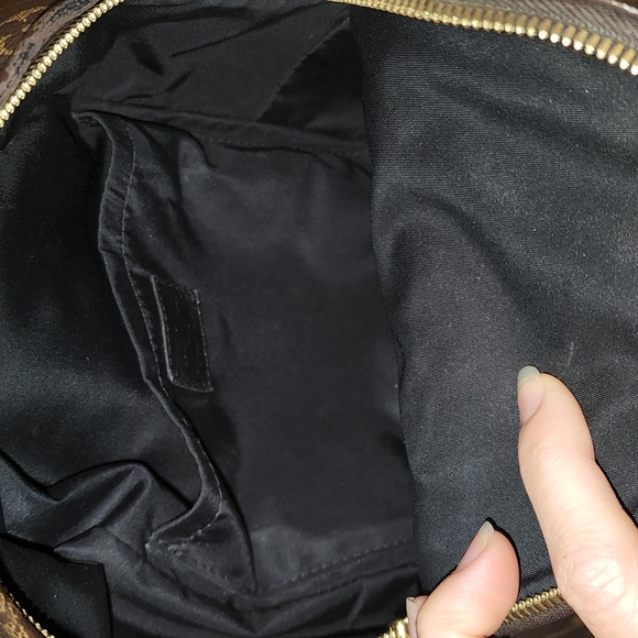 Louis VuittonPalm Springs Backpack Monogram Canvas PM - Picture 4 of 6